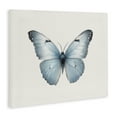thumbnail image 4 of Stupell Industries Blue Symmetrical Butterfly Animals Painting Wrapped Canvas Art Print Wall Art, 20 x 16, 4 of 8