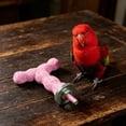 thumbnail image 4 of T-Shaped Parrot Perch Grinding Stick Bird Cage Accessory with Powder Coating, Sturdy Nail Filing Platform for Medium Birds and Parakeets - Beak Nail Care Stand for Cockatiel Conure Use, 4 of 4