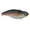 Blank, variant on Spro SAS60OGL Aruku Shad Jr. Lipless Crankbait 2" 3/8 oz Old