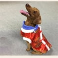 thumbnail image 4 of Greeniant Ropa para mascotas Cómodo traje Tang estilo tradicional chino sin mangas Ropa para mascotas Disfraces de animales Abrigos de moda Suministros Ropa para mascotas Azul L Greeniant PT000679-04, 4 of 6