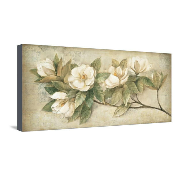 Sugar Magnolia Vintage Stretched Canvas Print Wall Art By Albena Hristova Com - Magnolia Wall Decor Painting