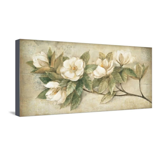 Sugar Magnolia Vintage Stretched Canvas Print Wall Art By Albena Hristova Com - Magnolia Wall Decor Painting Sugar Magnolia Vintage Stretched Canvas Print Wall Art By Albena Hristova Com - Magnolia Wall Decor Painting