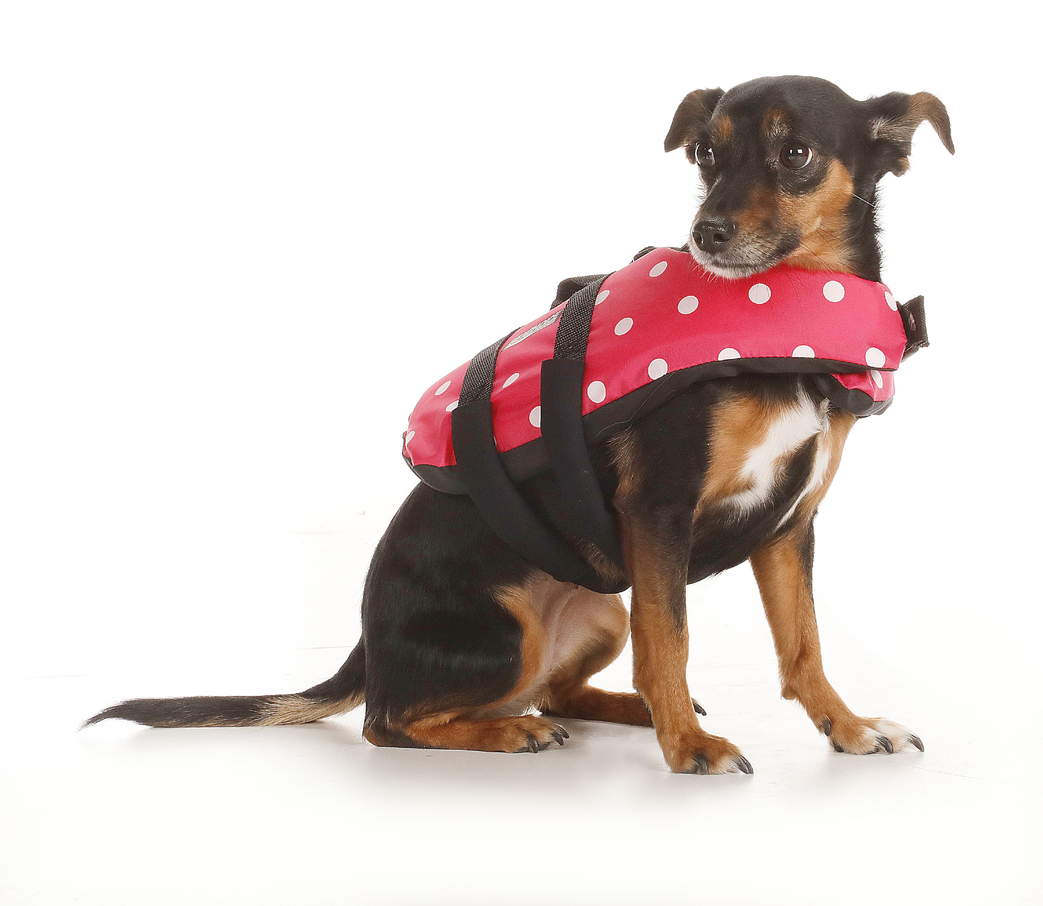 Seachoice 86360 Dog Life Vest Adjustable Life Jacket for