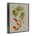 thumbnail image 3 of Stupell Industries French Country Vine with Red Blossoms Black Framed Giclee Art, 11 x 14, by Vision Studio, 3 of 8