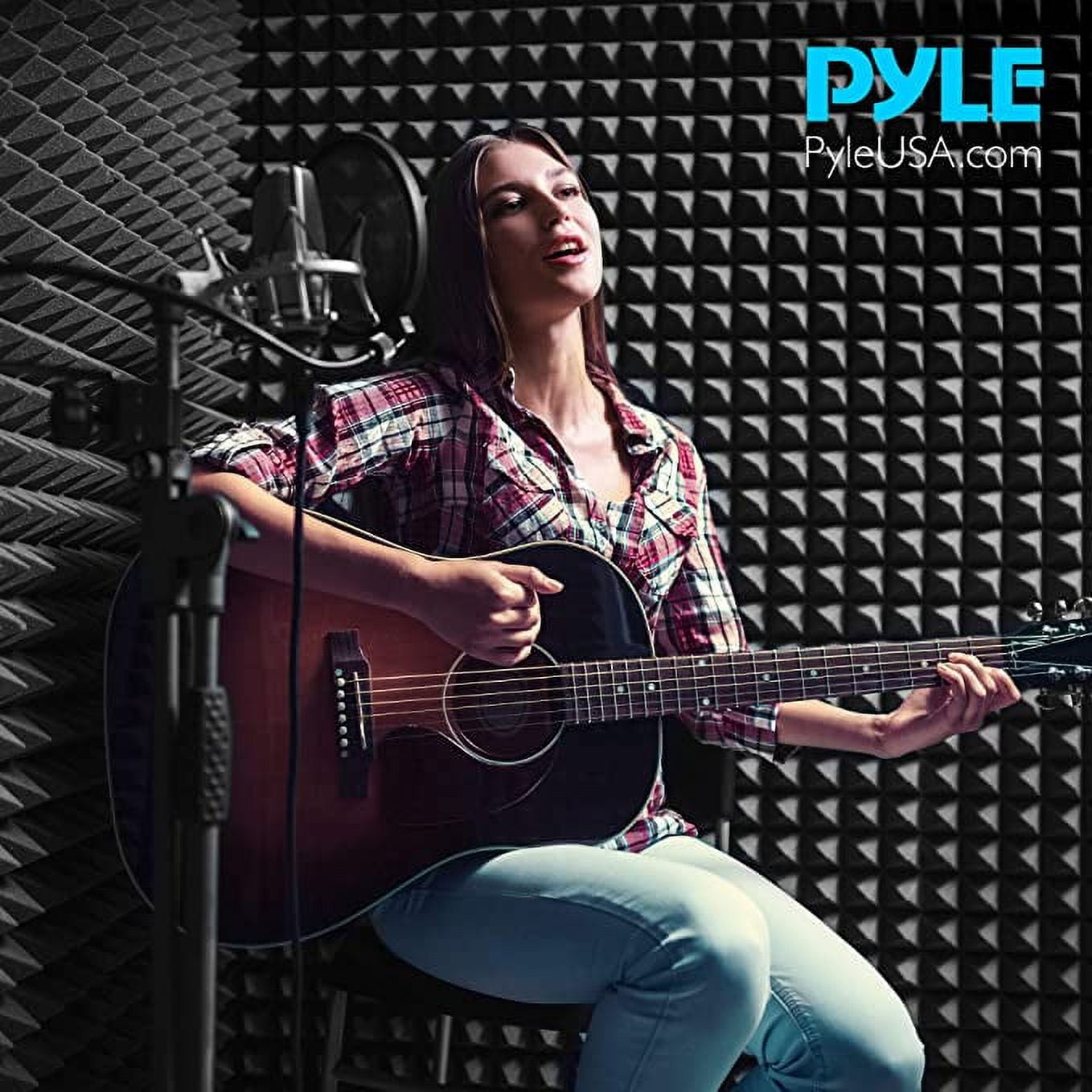 Pyle PSiP24 Acoustic Isolation Absorber Shield Sound Wall Panel Studio Foam and Dampening Wedge with Height Adjustable Stand（並行輸入品） Pyle PSiP 24 Acoustic Isolation Wall Panel Review by Slick