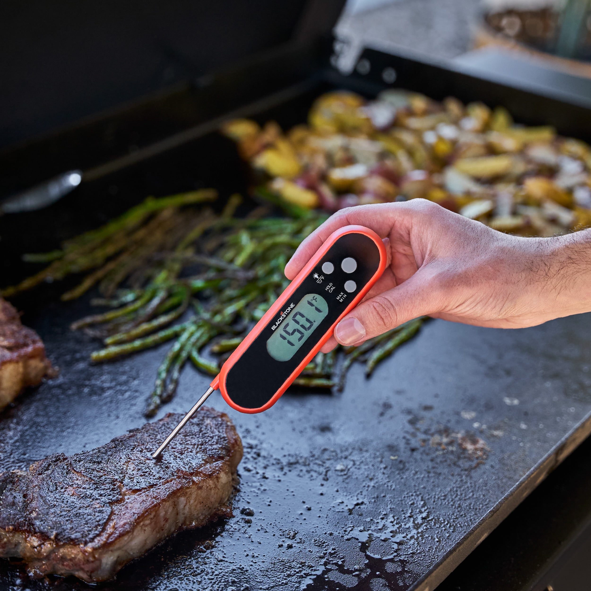 Blackstone Folding Probe Thermometer