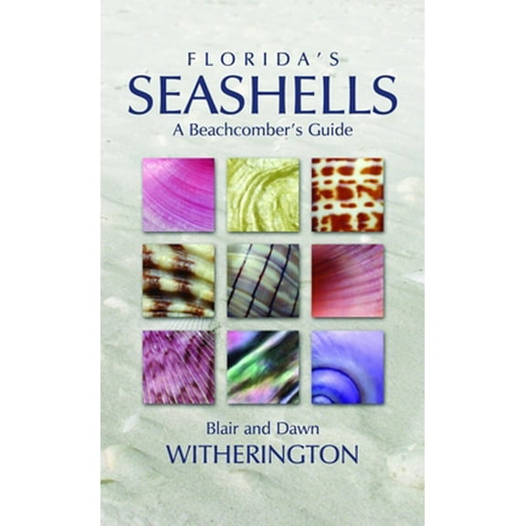 Pre-Owned Florida's Seashells: A Beachcomber's Guide (Paperback) 1561643874 9781561643875