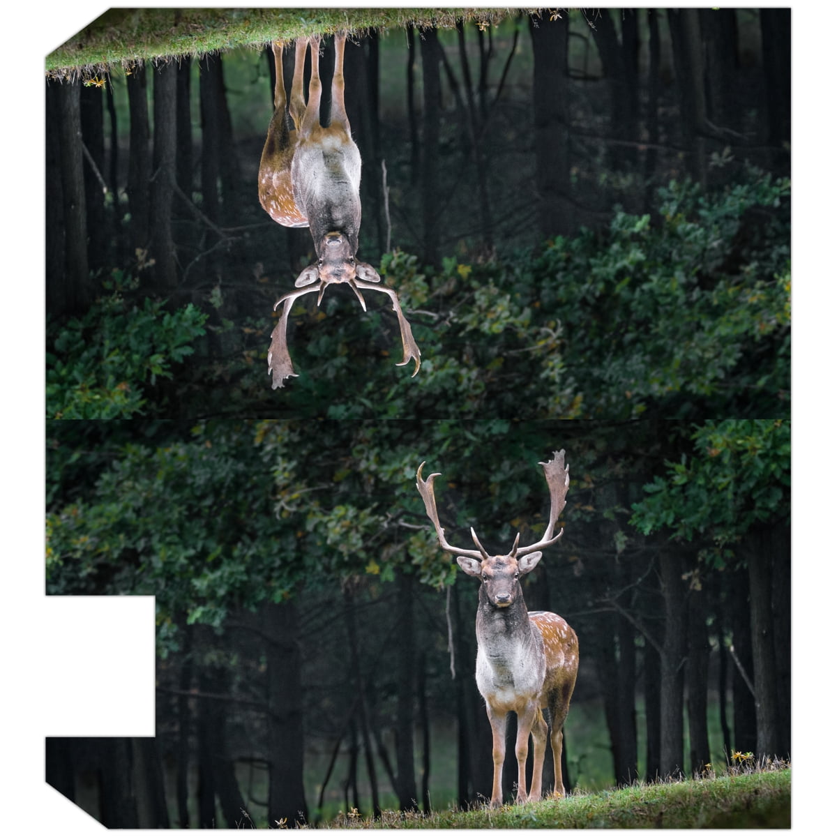 VWAQ Deer Mailbox Covers Magnetic Wilderness Animals Decor - 20.5"H X 18.25"W MBM42