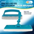 thumbnail image 2 of U.S. Pool Supply Hand-Held and Pool Pole Attachment Scrub Brushes - Surface Scrubbing Scouring Sponge Pads - Clean Pool Tile Grout Walls, Vinyl Liners, Spas, Remove Stains, Kitchen Bathroom, 2 of 6