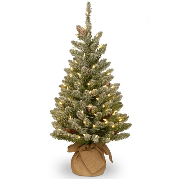 National Tree Company 3 ft. Snowy Concolor Fir Tree with LED Lights