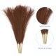 thumbnail image 3 of 4 Paquetes de Hierba Pampas Falsa de 17 Pulgadas 6 Tallos de Hierba Artificial para Decoración, Marrón, 3 of 6