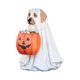 thumbnail image 4 of Cuenco de dulces de calabaza para cachorros, decoración navideña, balcón, puerta, almacenamiento, regalo, artesanías de resina, 4 of 6