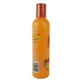 thumbnail image 3 of Creme Of Nature Mango Shea Butter Ultra Moist Leave In Conditioner, 8.45 Oz., Pack of 2, 3 of 3