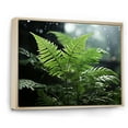 thumbnail image 2 of Designart "A Close Up Photo of Ferns IV" Floral Floater Framed Wall Art Living Room, 2 of 7