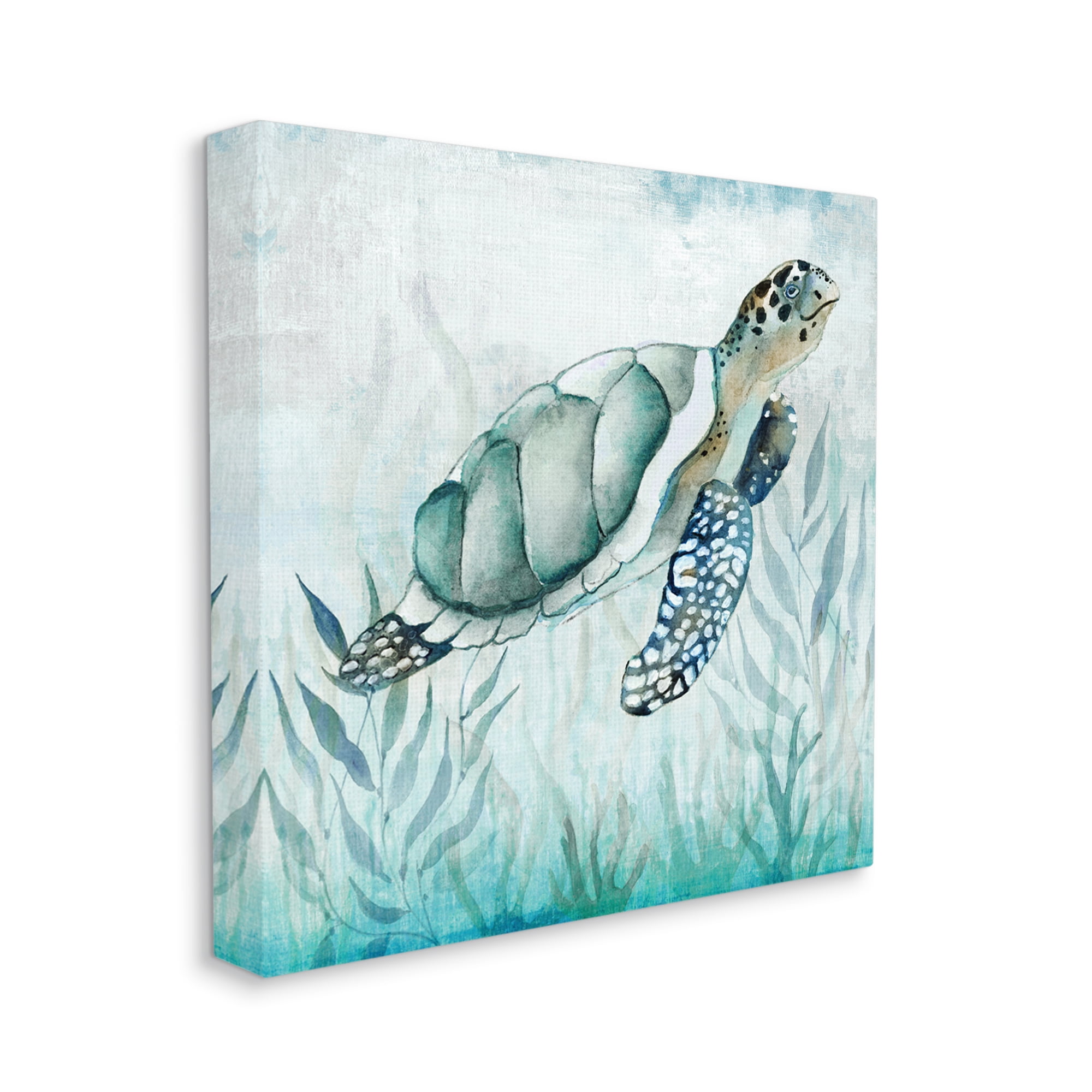 Stupell Industries Turtle & Seaweed Animals & Insects Painting Gallery Wrapped Canvas Art Print Wall Art, 30 x 30