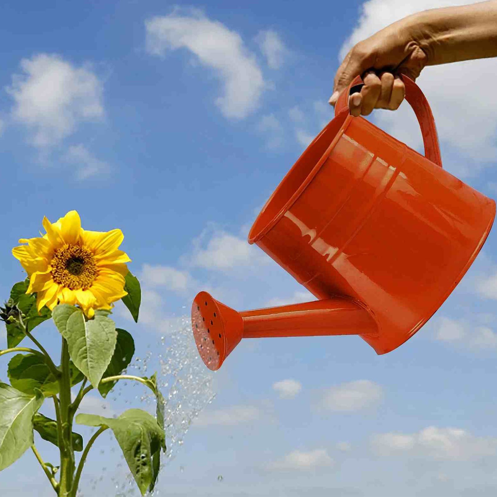 CHELIASD Watering Can Gardening Tool Accessories, Sprinkling Can 4L Metal Flower Garden Watering Can for Flowers, Indoor & Outdoor Plants, Lawn & Garden Irrigation Tool