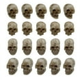 thumbnail image 1 of PENGXAING 20Pcs Skull Ornament Exquisite Realistic Synthetic Resin Mini Skull Figurines for Photo Props Halloween Decorations, 1 of 6