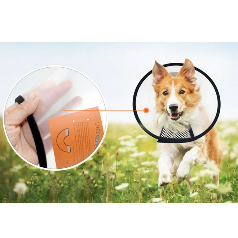 Flexible dog cone outlet