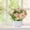 Beige, variant on Clearance! Lssam Artificial Flowers Fake FlowersArtificial Flowers In Vase Silk Rose Arrangements Flowers Bouquets With Vase Dinning Table Centerpieces Bedroom Bathroom Kitchen