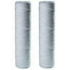 OmniFilter RS2DS Whole House Replacement Filter Cartridge (2-Pack)