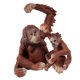 thumbnail image 3 of 2 piezas modelo de Gibbon juguete en miniatura estatuilla decoración para hogar CUTICAT Juguete cognitivo para niños, 3 of 8