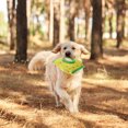 thumbnail image 2 of Pet Pull Tissue Toy Dog Snuffle Toy Pet Paper Extraction Toy Dog Interactive Toy Dog Training Toy, 2 of 9