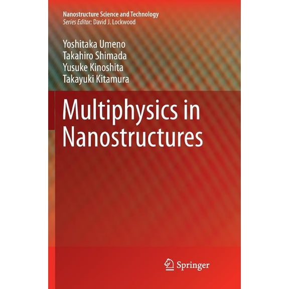 Nanostructure Science and Technology Multiphysics in Nanostructures, (Paperback)