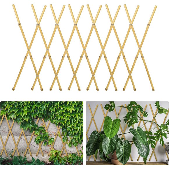 Jinsinto Expandable Plant Support Trellis, Bamboo Lattices Fences, Garden Trellis for Climbing Plants 30*180cm