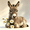 Cute Baby Donkey White Daisy Flowers*3, variant on Diamond Painting Kits for Adults Cute Palomino Mini Pony,Baby Horse Flower 5D Diamond Painting Dots Art Kits Full Round Drill Gem Crystal Art Paint Home Wall Decor 8x12 Inch