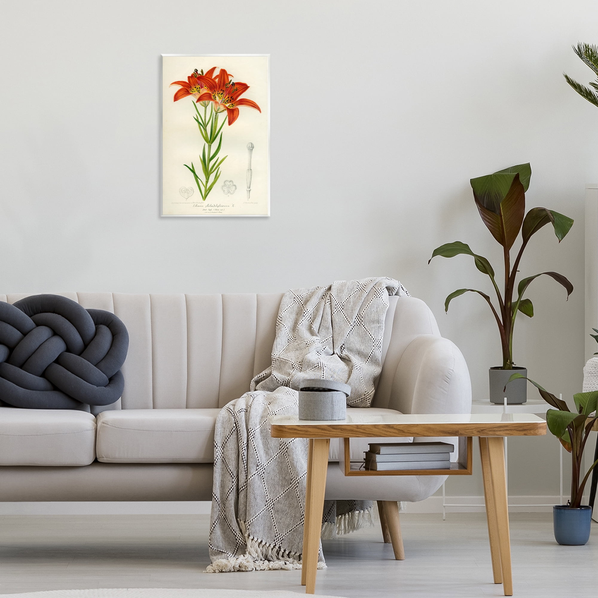 Stupell Industries Western Red Lily Wall Plaque Art, design by Print Collection