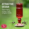 thumbnail image 2 of Perky-Pet 24 oz Red Antique Bottle Hummingbird Feeder, 2 of 10