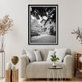 thumbnail image 4 of Historic Framed Print, Kenworthy Hall, State Highway 14 (Greensboro Road), Marion, Perry County, AL - 19, 17-7/8" x 21-7/8", 4 of 9