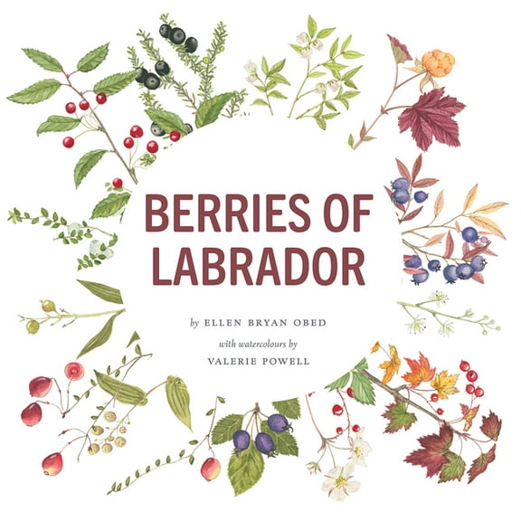 Berries of Labrador, (Paperback)