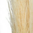 thumbnail image 2 of Vickerman 46" Dried Bleached Pampas Grass, 6 pieces per Pack., 2 of 4