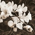 thumbnail image 2 of Zalewski, Christine 15x15 White Modern Wood Framed Museum Art Print Titled - Orchid and Swirls II, 2 of 4