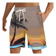 thumbnail image 1 of Traje De Baño Shorts De Imprimir Playa Bañadores Para Hombre, 1 of 7