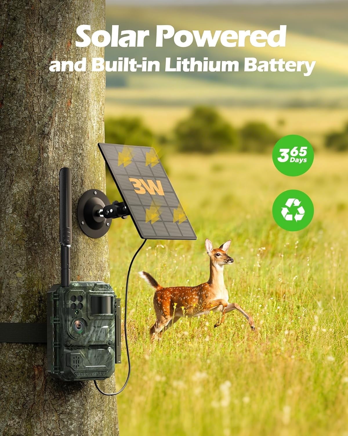 CAMPARK 2 Pack Trail Camera with 4G Cellular Solar, 1080P Hunting Game Camera with Live View and Motion Alerts, Color Night Vision IP66 Waterproof for Wildlife Monitoring