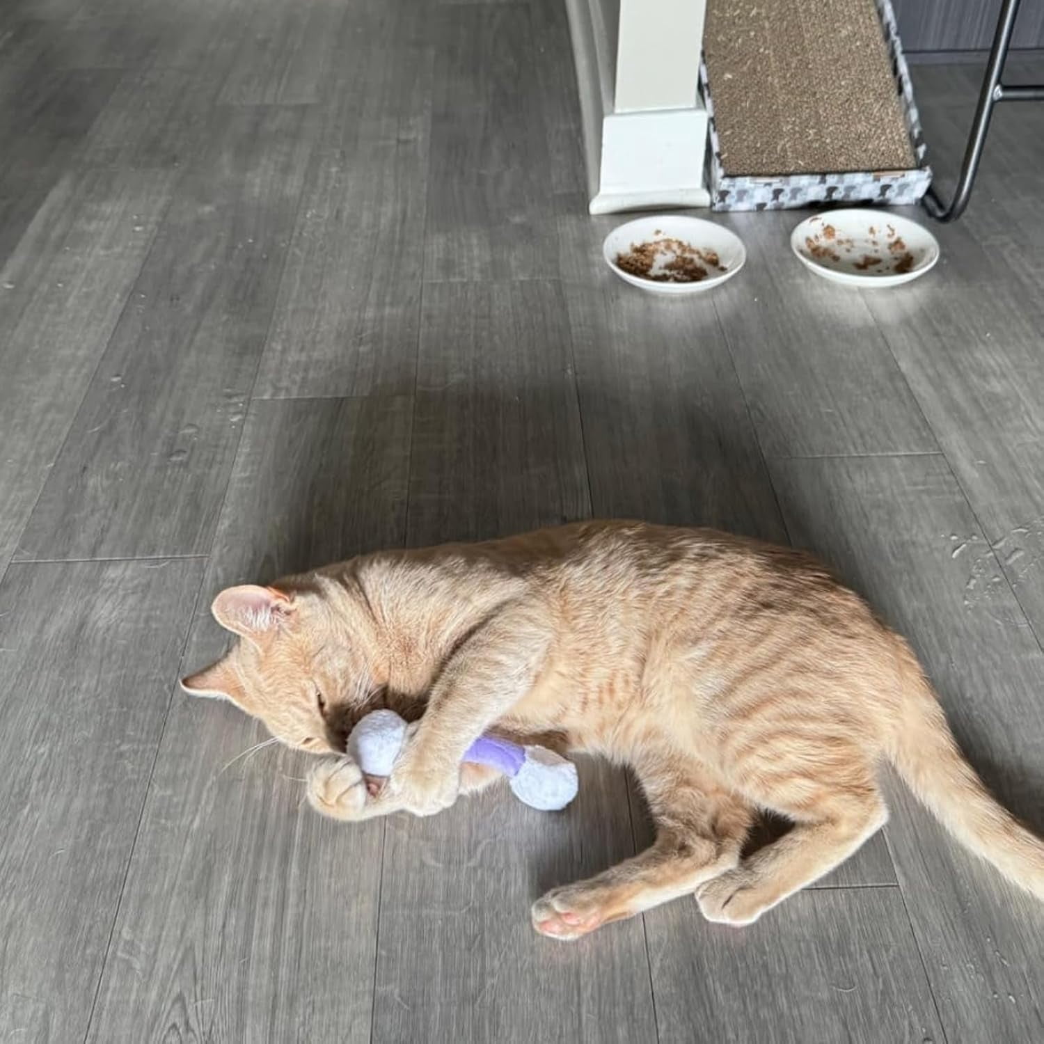 Cat Qtip Toy - Giant Cotton Swab Cat Toy for Interactive Play, Sturdy for Indoor Cats and Cat Lovers Gift