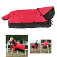 thumbnail image 1 of Manta de invierno para caballos Baoblaze poliéster impermeable 6000D 350 g Manta de participación pesada 145cm rojo, 1 of 8
