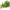 40PCS, variant on 40PCS Mini Christmas Trees, 5 Sizes Artificial Sisal Trees Bottle Brush Xmas Trees with Wooden Base for Xmas Winter Home Table Decoration