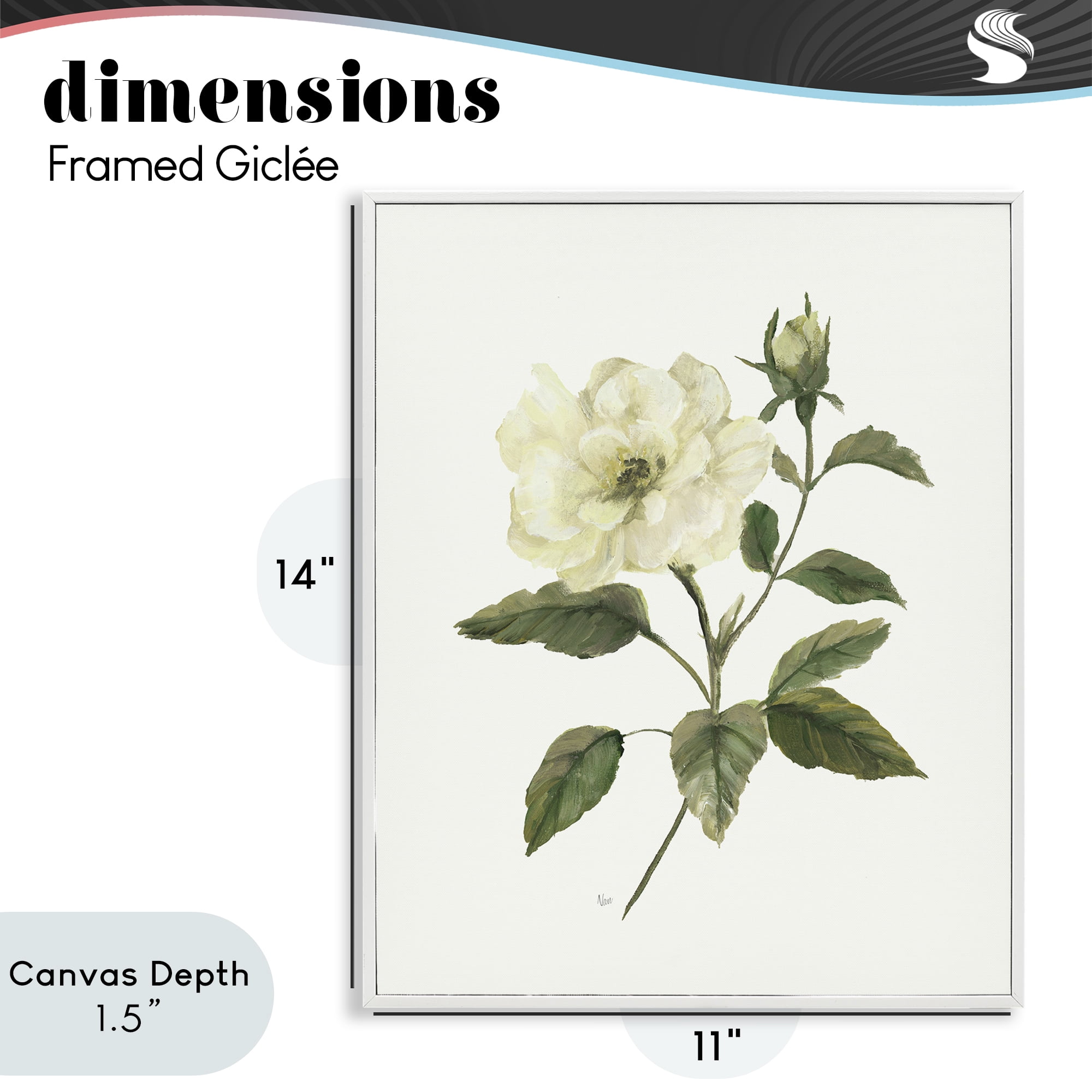 Stupell Industries Ivory Rose Bloom With Green Foliage White Framed Giclee Art, design by Nan