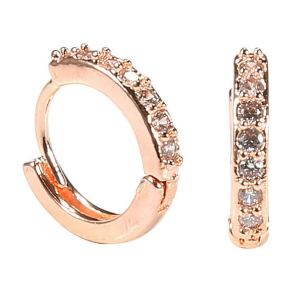 Earrings for Women Sterling Silver Earrings Women Sterling Silver Rhinestones Hoop Diamond Stud Earrings