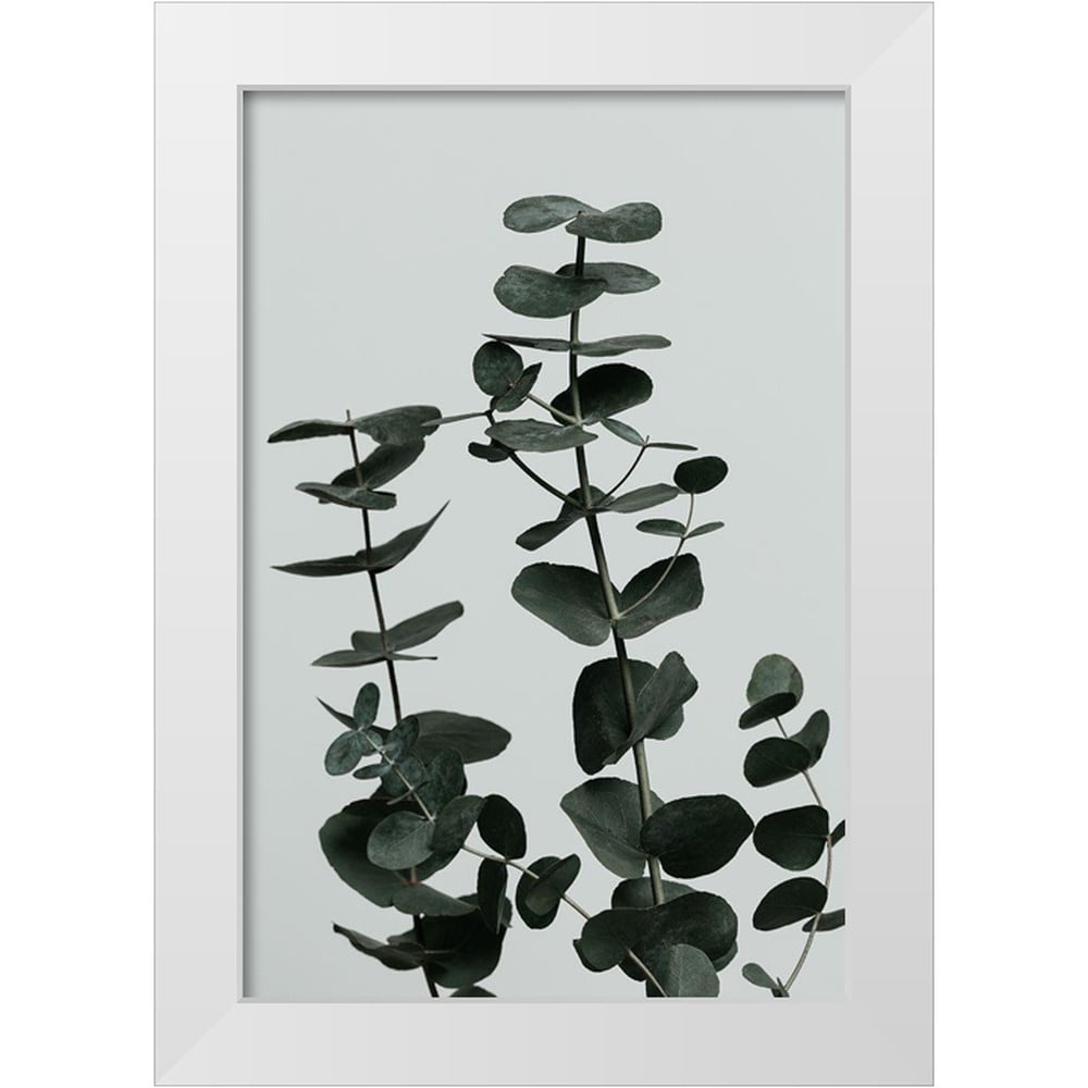 Artographie Studio 13x18 White Modern Wood Framed Museum Art Print Titled - Eucalyptus Natural 11