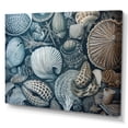 thumbnail image 2 of Designart "Seaside Seashells I" Modern Landscape Beach Wall Art Print, 2 of 5