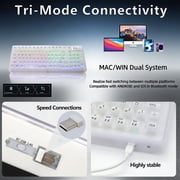 Tri-Mode Mechanical Keyboard with RGB, Hot-Swappable, Display, Translucent White