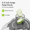 thumbnail image 4 of SiFENE Centrifugal Juicer Machine, 350W 3-Speed Juice Extractor with 2.5-Inch Wide Chute, Easy Clean, High Juice Yield, Compact Fruit & Vegetable Juicer, Home Kitchen, Red, 4 of 8