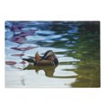 thumbnail image 1 of Africa Cutting Board, Chinese Mandarin Ducks Sail in the River East Winged Creature Peace Habitat, Decorative Tempered Glass Cutting and Serving Board, Large Size, Multicolor, by Ambesonne, 1 of 1