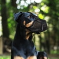 thumbnail image 2 of Bozal de malla para perro Bozal suave ajustable Bozal de perro mediano para evitar morder y masticar cubierta bucal transpirable para mascotas suministro para mascotas tamaño L, 2 of 6