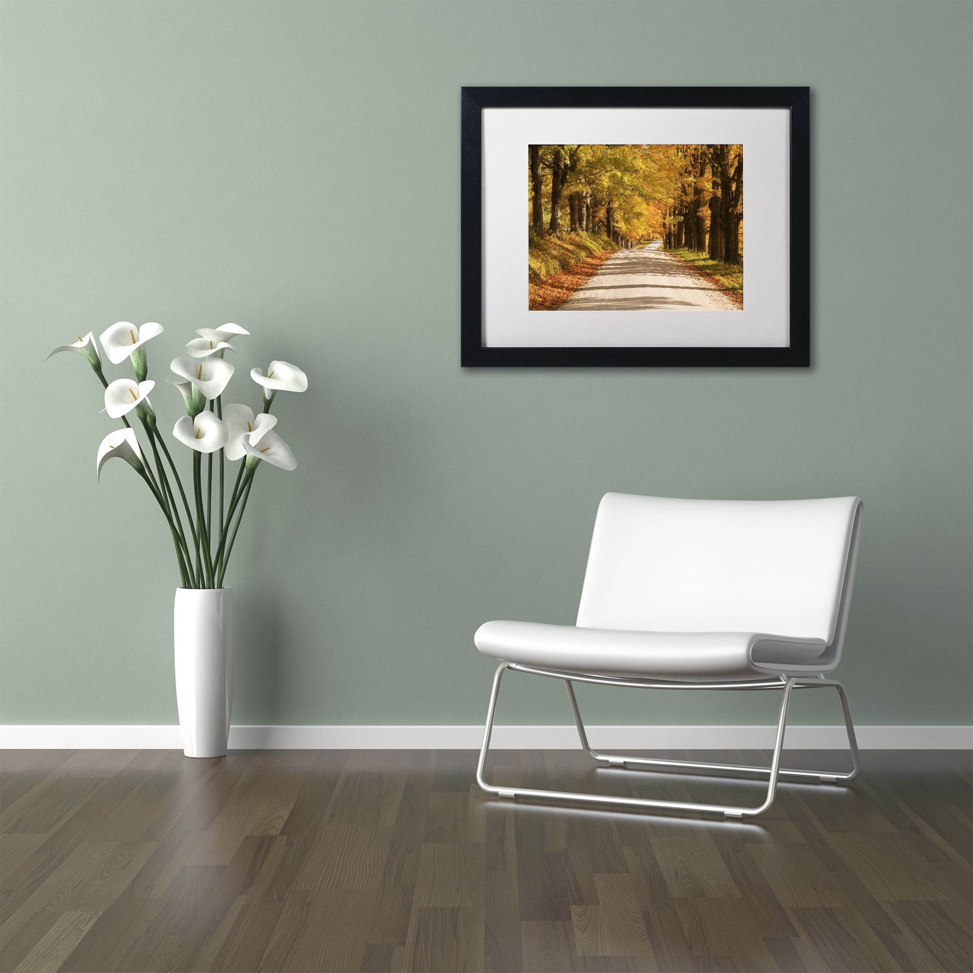 Trademark Fine Art 'Maple Canopy' Canvas Art by Michael Blanchette Photography, White Matte, Black Frame