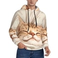 thumbnail image 2 of Sikiie Sleeping Cat In Blanket Men's Hoodie, Essentials Hoodie, Sweatshirt, Pullover Hooded Sweatshirt for Men-4X-Large, 2 of 7